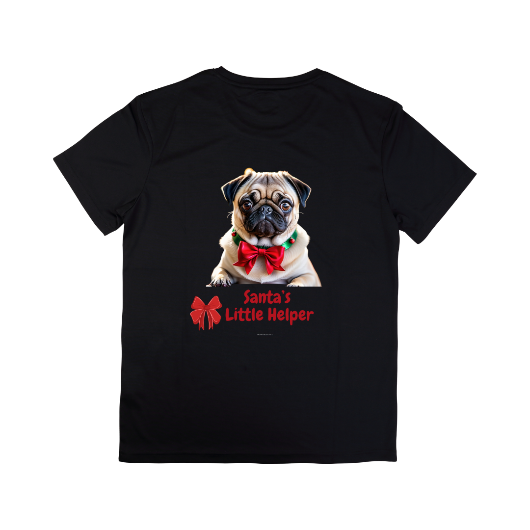 Santa's Little Helper